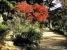 Nikitsky Botanic Garden4.jpg - 